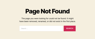 ریدایرکت کردن صفحات 404 به صفحه اصلی در وردپرس