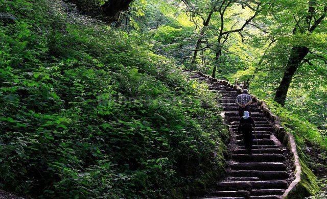 باربری تهران به آمل: راهنمای کامل برای انتقال سریع و آسان