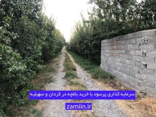 2 گزینه جذاب برای سرمایه‌گذاری در مناطق اطراف تهران | با این اقدام، به دنیای میلیاردرها ملحق شوید!