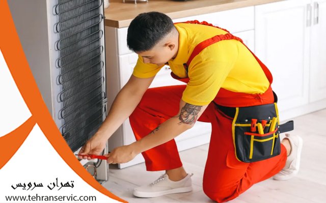 ارورهای یخچال فریزر باکنشت