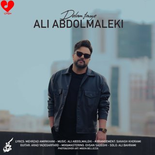 آهنگ دلم تنگه از علی عبدالمالکی 