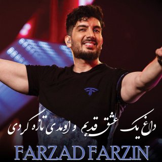 دانلود آهنگ داغ یک عشق قدیمو اومدی تازه کردی از فرزاد فرزین