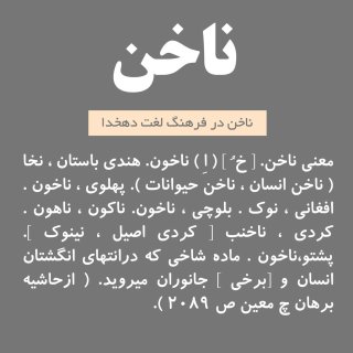 دسته بندی ناخن و محصولات زیر مجموعه آن | طراحی ناخن ساده و شیک