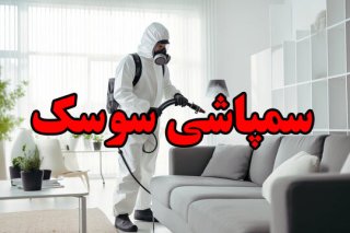 سمپاشی سوسک راهی برای خلاصی از شر این آفت انزجار آور !