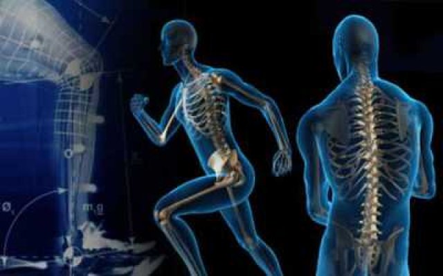 حدنصاب تراز برای مصاحبه دکتری در رشته بیومکانیک ورزشی