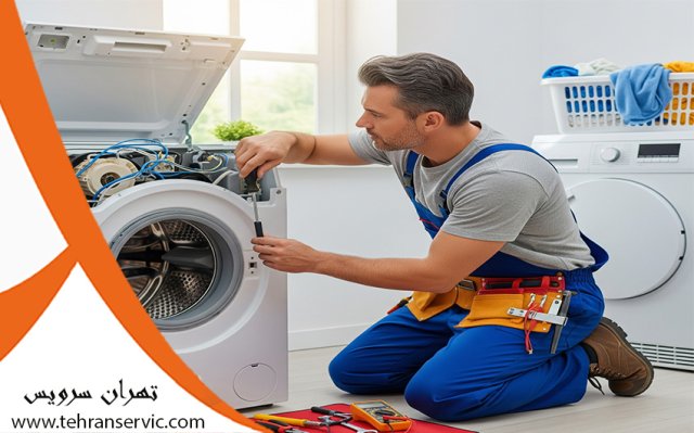 تعمیر لباسشویی دلمونتی