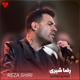 دانلود آهنگ دیدی بازم پاییز شد نیومدی نیومدی از رضا شیری