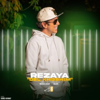 دانلود آهنگ دلخوشیم از رضایا