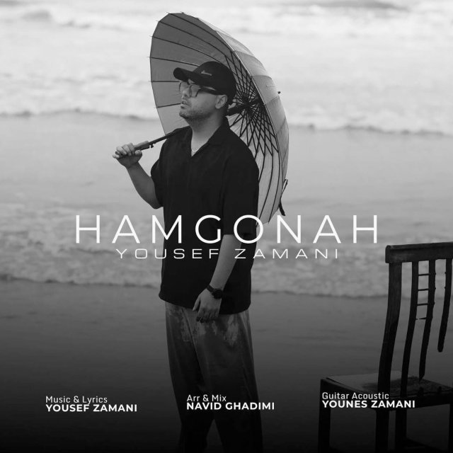 دانلود آهنگ همگناه از یوسف زمانی