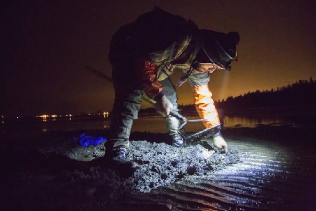 چگونه بهترین چراغ پیشانی برای کشاورزی را انتخاب کنیم؟