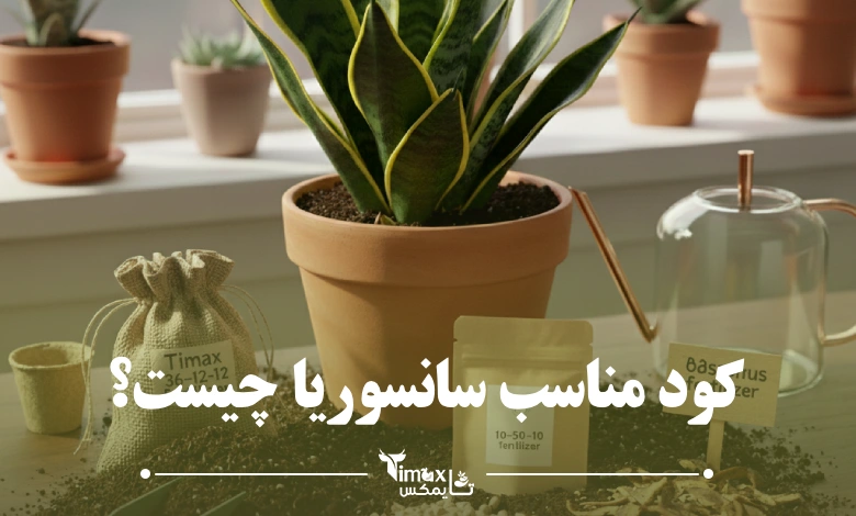 کود مناسب سانسوریا