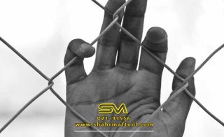 همه چیز درباره فنس، میلگرد ساده و پایه فنس در صنعت ساخت‌وساز