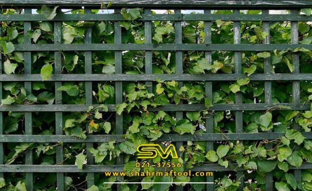 راهنمای جامع توری پرسی، توری مش و توری سرندی | بررسی کاربرد، خرید و قیمت