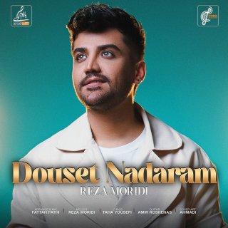 دانلود آهنگ دوست ندارم از رضا مریدی