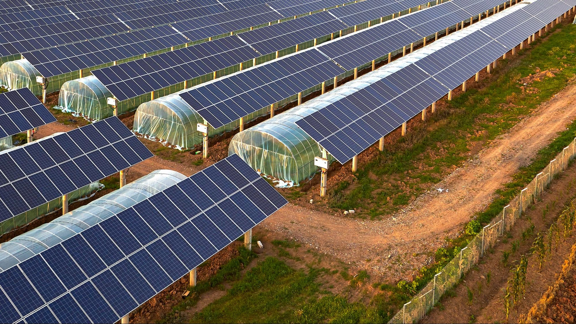 قیمت و هزینه نصب پنل خورشیدی برای گلخانه در سال ۱۴۰۴