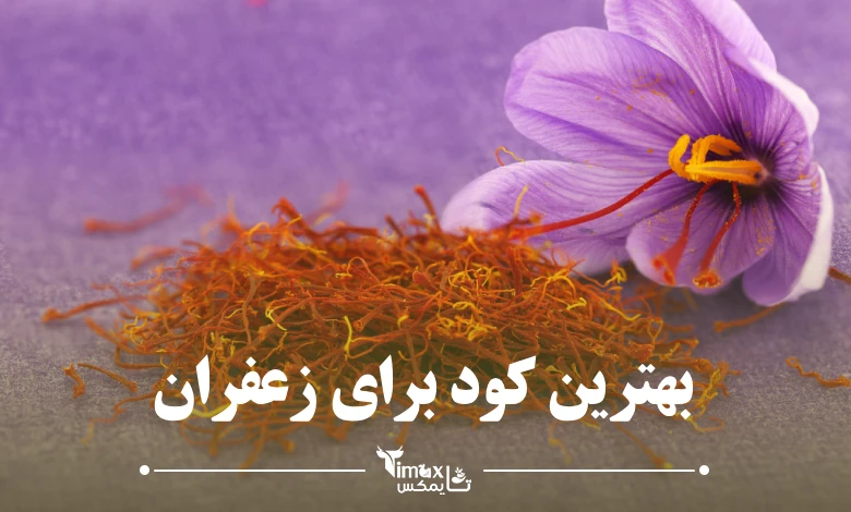 بهترین کود برای زعفران در زمستان 