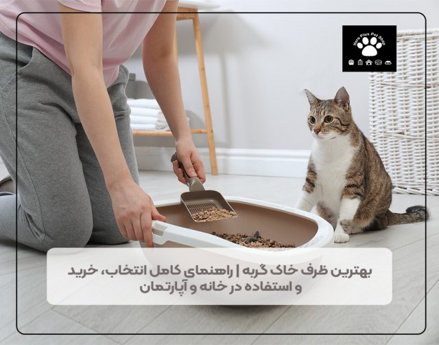 بهترین ظرف خاک گربه؛ راهنمای کامل انتخاب، استفاده و رفع مشکلات رایج برای صاحبان گربه‌های خانگی