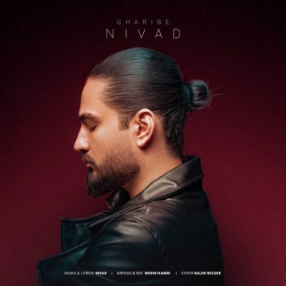 دانلود آهنگ غریبه از نیواد