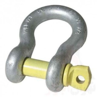 شکل های مختلف شگل