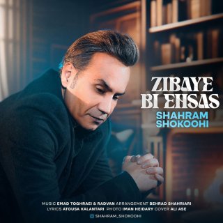 دانلود آهنگ زیبای بی احساس از شهرام شکوهی