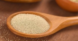 خمیر مایه چیست و کجا میفروشند؟