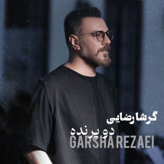 دانلود آهنگ دو پرنده از گرشا رضایی