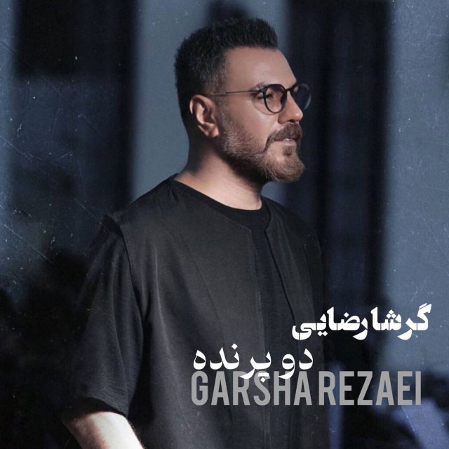 دانلود آهنگ دو پرنده از گرشا رضایی