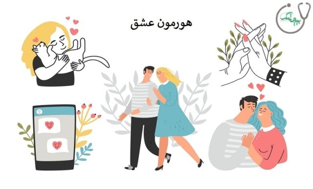هورمون عشق (اکسی توسین) در بدن چه کاربردی دارد؟