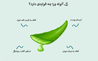 11 خاصیت آلوئه ورا برای سلامتی زنان و مردان