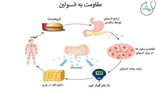 بررسی مقاومت به انسولین و عوارض آن