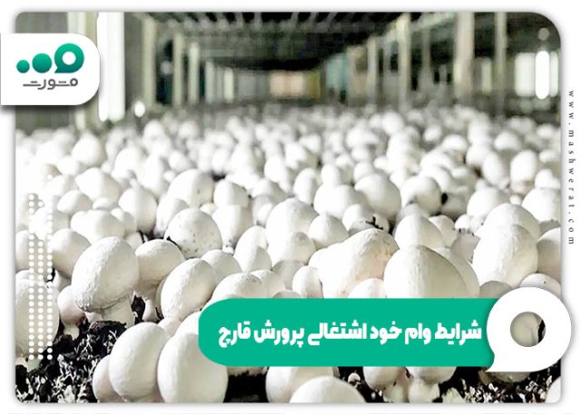 وام خود اشتغالی پرورش قارچ