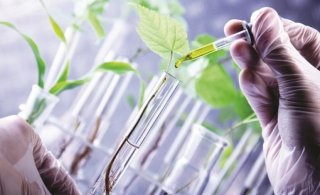 حدنصاب تراز برای مصاحبه دکتری در رشته مهندسی شیمی - بیوتکنولوژی