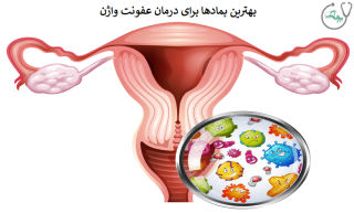بهترین پمادها برای درمان عفونت واژن