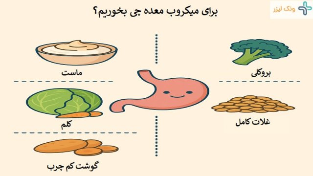 غذاهای مفید و مضر برای میکروب معده