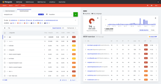 اهمیت ابزار KWFinder در فرآیند سئو