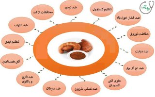 10 خاصیت قارچ گانودرما برای سلامتی