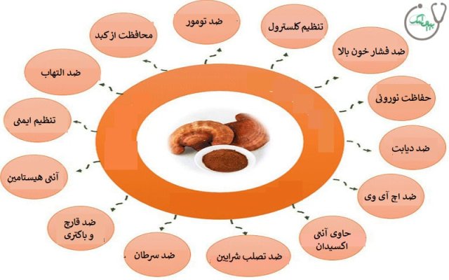 10 خاصیت قارچ گانودرما برای سلامتی